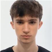 Profesor de dibujo, pintura e historia del arte